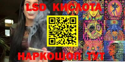 стафф Будённовск
