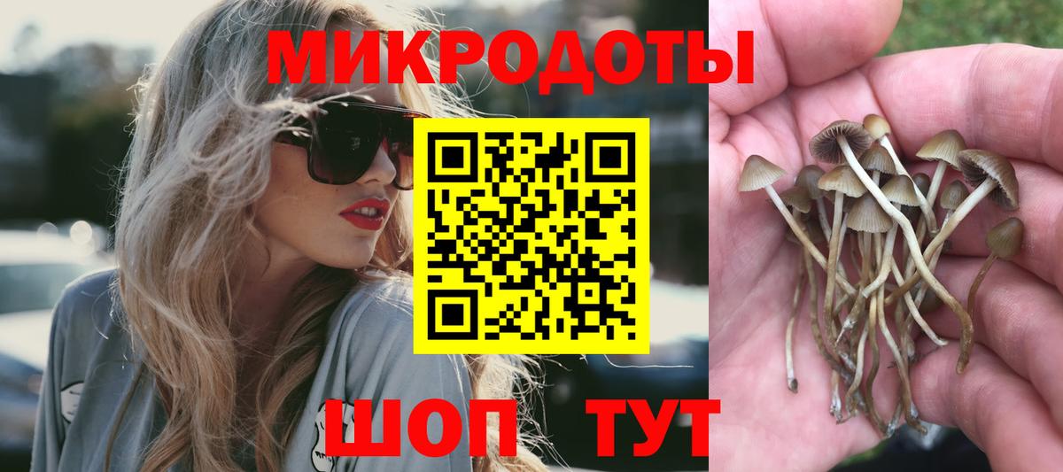 Псилоцибиновые грибы Magic Shrooms Тольятти