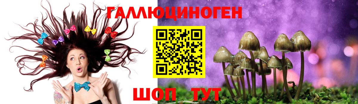 Тольятти  Псилоцибиновые грибы MAGIC MUSHROOMS  как найти   Вход с VPN 